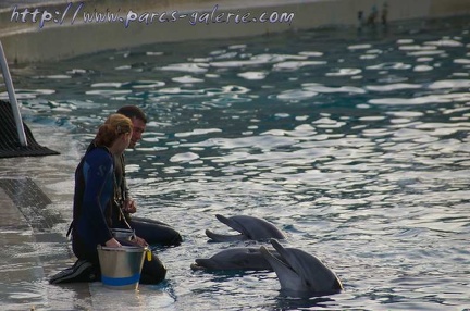 Marineland Antibes - 010