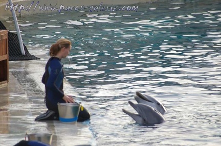 Marineland Antibes - 011