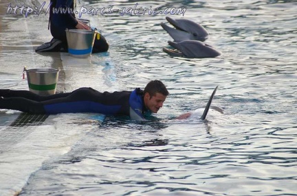 Marineland Antibes - 013