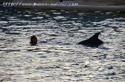 Marineland Antibes - 015