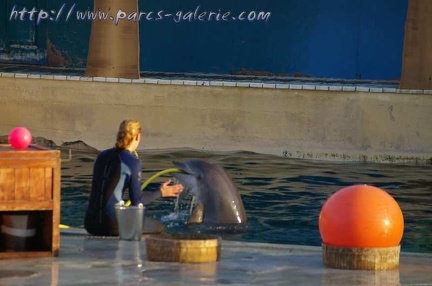 Marineland Antibes - 001