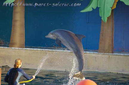 Marineland Antibes - 002