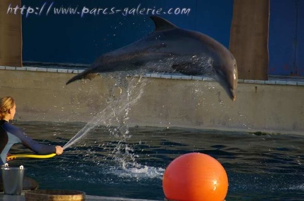 Marineland Antibes - 003