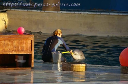 Marineland Antibes - 004