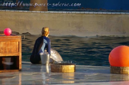 Marineland Antibes - 005