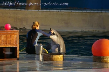 Marineland Antibes - 006