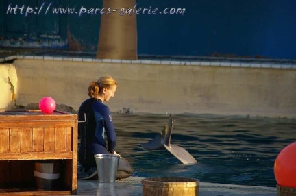 Marineland Antibes - 008