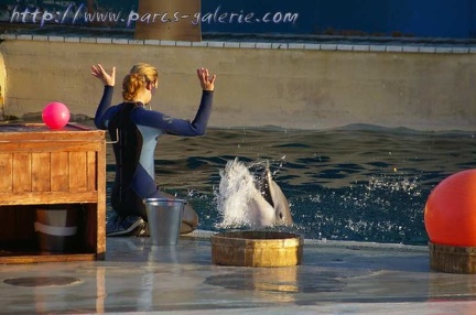 Marineland Antibes - 010