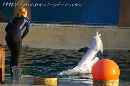 Marineland Antibes - 012