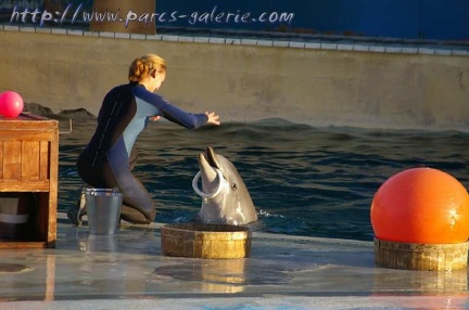 Marineland Antibes - 013