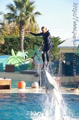 Marineland Antibes - 004