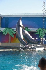 Marineland Antibes - 005