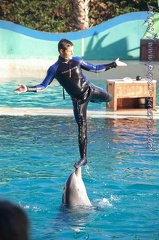 Marineland Antibes - 011