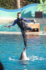 Marineland Antibes - 012