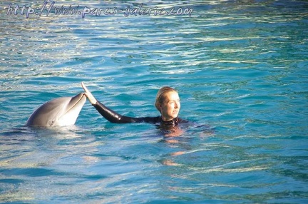 Marineland Antibes - 013