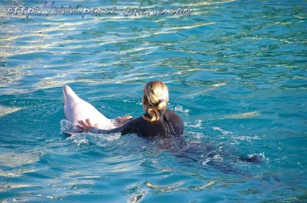 Marineland Antibes - 014