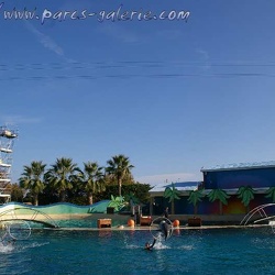 Marineland - Dauphins - Spectacle 14h15