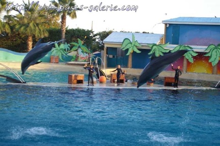 Marineland Antibes - 006