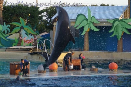 Marineland Antibes - 009