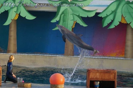 Marineland Antibes - 011