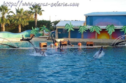 Marineland Antibes - 012