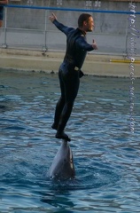 Marineland Antibes - 013