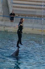 Marineland Antibes - 014