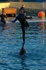 Marineland Antibes - 015