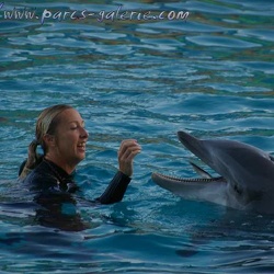 Marineland - Dauphins - Spectacle 16h00