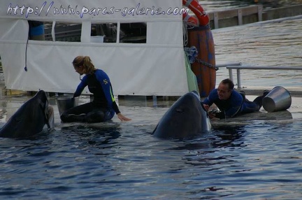 Marineland Antibes - 001