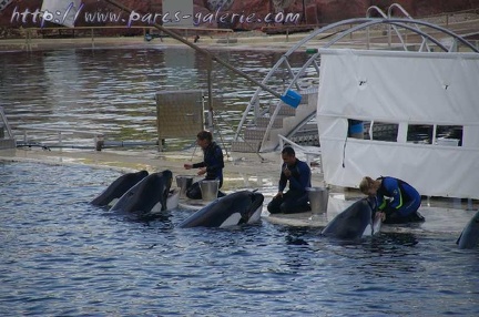 Marineland Antibes - 002