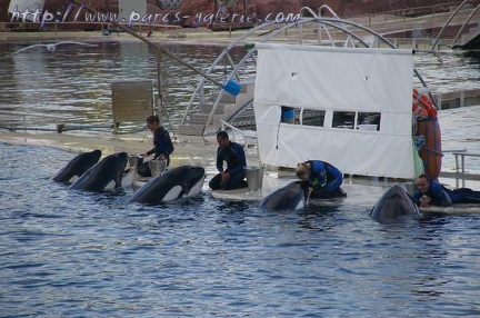 Marineland Antibes - 003