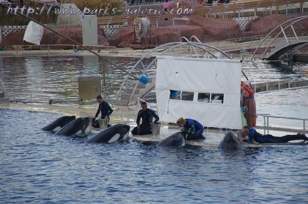 Marineland Antibes - 004