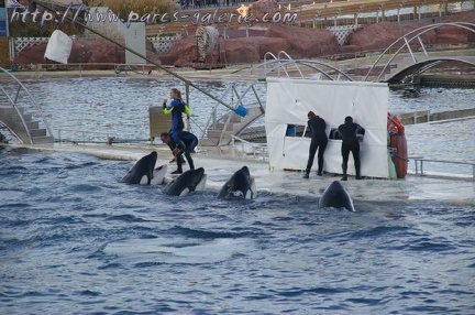 Marineland Antibes - 005