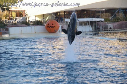 Marineland Antibes - 006