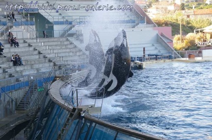 Marineland Antibes - 008