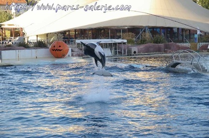 Marineland Antibes - 009