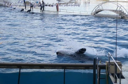 Marineland Antibes - 010