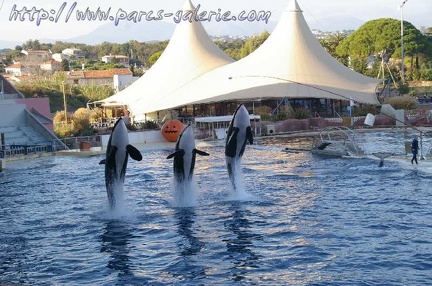 Marineland Antibes - 011