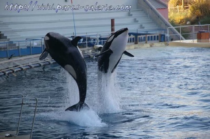 Marineland Antibes - 012