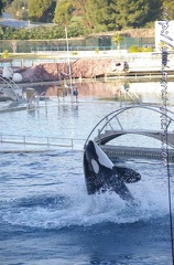 Marineland Antibes - 013