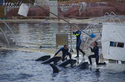 Marineland Antibes - 014