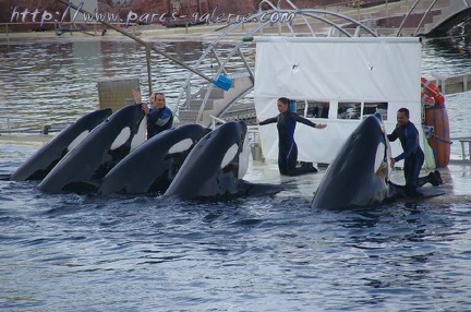 Marineland Antibes - 015