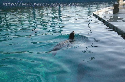 Marineland Antibes - 002