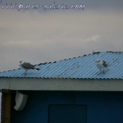 Marineland - Autres photos