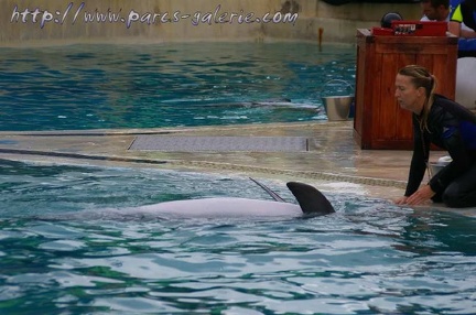 Marineland Antibes - 001