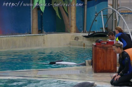 Marineland Antibes - 002