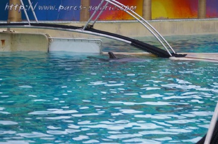 Marineland Antibes - 005