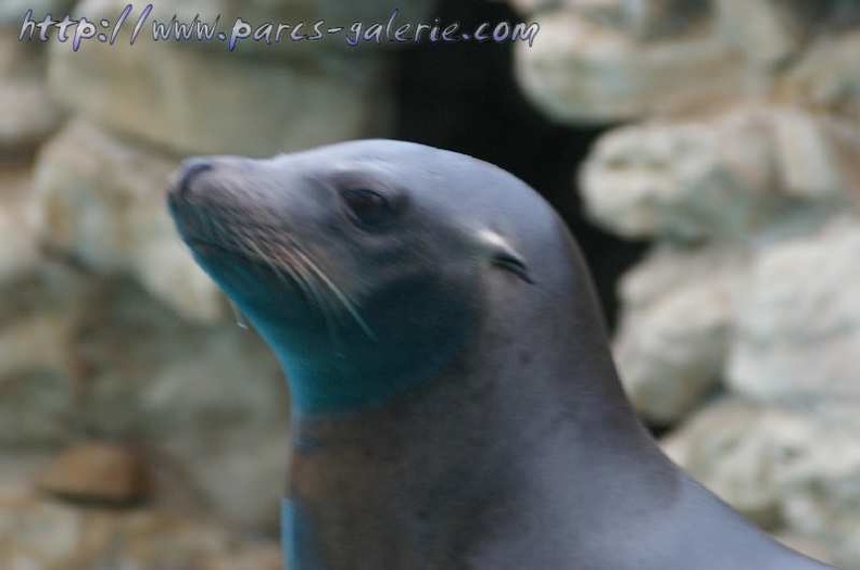 Marineland Antibes - 001