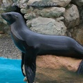 Marineland Antibes - 002